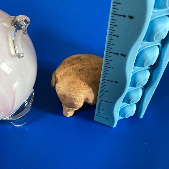 Pigs - Picture 8 of 8